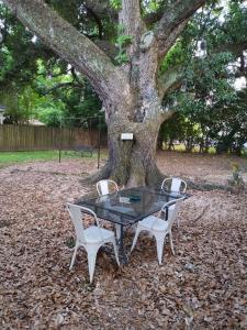 a glass table and two chairs in front of a tree at Cajun Stays-Cajun Home II- Entire House in Lafayette