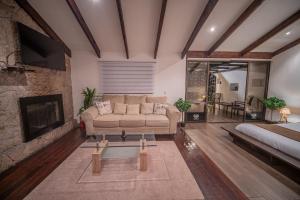 sala de estar con sofá y chimenea en Vistas del Conde, en Heredia