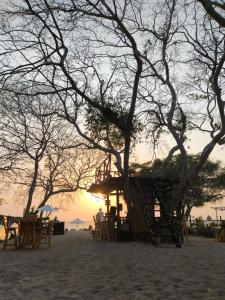 プラヤ・ブランカにあるBuda House Beachの夕日の海岸の木の家