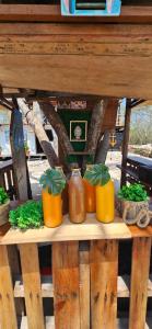 普拉亞布蘭卡的住宿－Buda House Beach，木桌,四种植物装在玻璃罐里