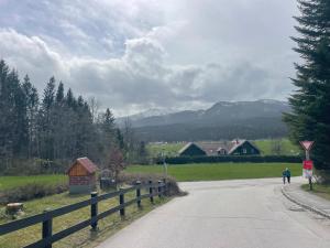Príroda v okolí of the country house