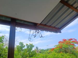 - une vue depuis la terrasse couverte d'une maison dans l'établissement Galapagos Verde Azul, à Puerto Ayora