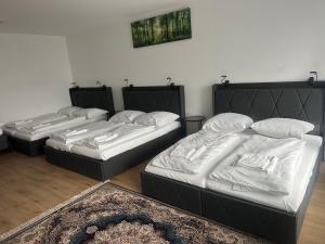 3 Betten in einem Zimmer mit einem Teppich in der Unterkunft Ferienwohnung in Center of Hamburg-Barmbek-Airport-2 in Hamburg