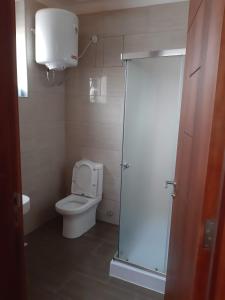 a bathroom with a toilet and a shower stall at VILLA FIORI APARTMENTS in Arua