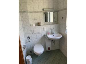 a bathroom with a toilet and a sink at Wood in Zempin Usedom in Zempin +17 photos