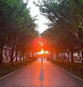 a person walking down a brick road with the sunset at Sunny room on Manhattan’s Upper west side in New York