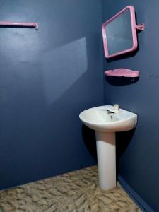 a bathroom with a sink and a mirror on the wall at Near The Canal Homstay in Sigiriya