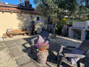 twee stoelen en een bloempot in een tuin bij Casetta sull’Etna in Nicolosi