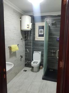 La petite salle de bains est pourvue d'une douche et de toilettes. dans l'établissement السكن الفاخر, au Caire