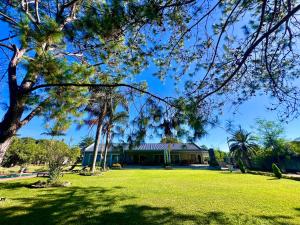 a house with a green yard with trees at Summerfields & Gardens Lodge in Kitwe