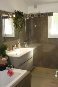 uma casa de banho com um lavatório e um chuveiro em Magnifique Villa à 10 mn des Plages avec Piscine pour 6 Personnes em Le Beausset