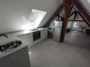a kitchen with a sink and a refrigerator at Loft Apartment am Bahnhof in Albstadt