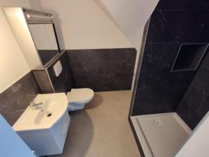 W łazience znajduje się umywalka, toaleta i lustro. w obiekcie Loft Apartment am Bahnhof w mieście Albstadt