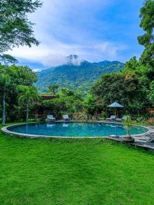 a swimming pool with a mountain in the background at Dune Alaya Ecolodge in Pemuteran