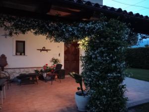 une pergola avec une plante dans un pot sur une terrasse dans l'établissement B&B Il Tiglio, à Padula