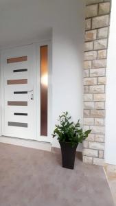 Galeriebild der Unterkunft Apartman Ivan in Vir