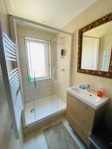 uma casa de banho com um chuveiro, um lavatório e um espelho. em Hébergement Cosy avec terrasse Tropézienne em Le Chambon-Feugerolles