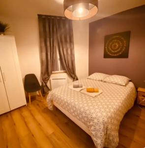 um quarto com uma cama com uma bandeja em Hébergement Cosy avec terrasse Tropézienne em Le Chambon-Feugerolles