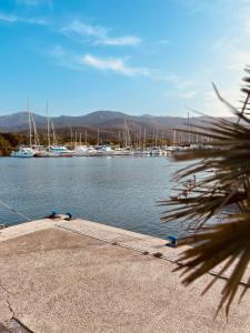 - une vue sur un port de plaisance avec des bateaux dans l'eau dans l'établissement Hôtel le Nid, à Argelès-sur-Mer