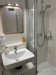 a bathroom with a sink and a shower with a mirror at Waldshut -Kaiser55 in Waldshut-Tiengen