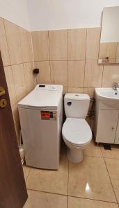 a bathroom with a toilet and a sink at Casa Rusu - Govandari -Self check in-24h in Reşiţa