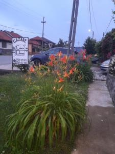 einen Garten mit Blumen vor einem Schild in der Unterkunft Casa Elena Eselnita in Eşelniţa
