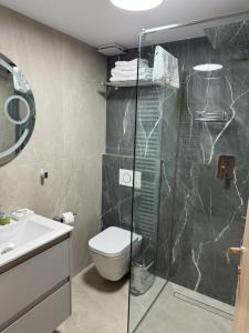 a bathroom with a toilet and a glass shower at Pensiune Restaurant Pizzerie 2 Păuni in Borşa