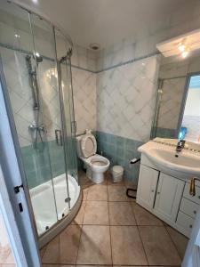 uma casa de banho com um chuveiro, um WC e um lavatório. em F2 apartments with panoramic sea views em Farinole
