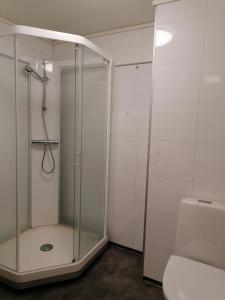 ヨーペランドにあるVerkshotellet Jørpelandのバスルーム(ガラス張りのシャワー、トイレ付)