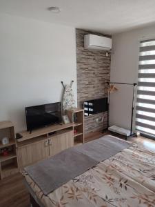 a bedroom with a large bed and a flat screen tv at Apartments Karić Aerodrom Tuzla in Dubrave Gornje +31 photos