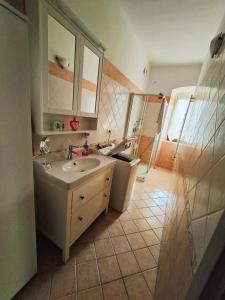 uma casa de banho com um lavatório e um chuveiro em Il Sole dell' Altopiano em Villa Opicina