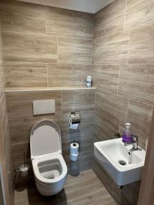a bathroom with a toilet and a sink at Apartmán Prkenný důl in Prkenný Dŭl