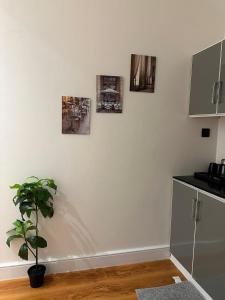 a kitchen with a plant and four pictures on the wall at شقة أنيقة في حي النزهه in Riyadh