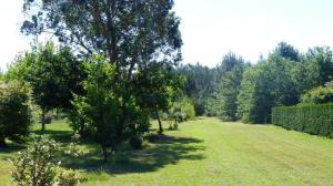 Afbeelding uit fotogalerij van les rouges gorges in Lugos +9 foto's