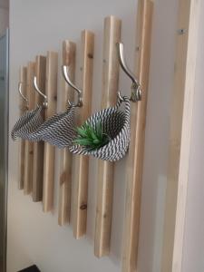 un attaccapanni in legno con una pianta di APARTMENT DELUXE MARINA CAPE 4 stars complex 33 6 ad Aheloy Altre 266 foto