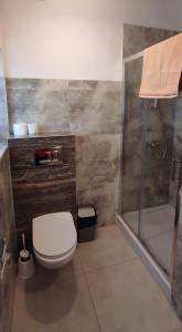 a bathroom with a toilet and a shower at Apartamenty Starosądeckie in Stary Sącz
