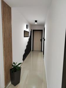 a hallway with a door and a potted plant at Villa Port in Rewa