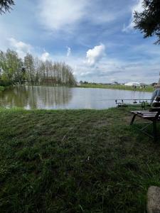 um banco de parque sentado ao lado de um lago em Pole namiotowe Na Haczyku em Nowodwór