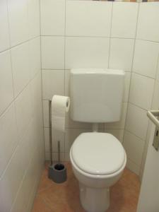 ein Badezimmer mit einem weißen WC in einer Kabine in der Unterkunft #3 Gemütliches idyllisches Zimmer mit Gartenblick Airport nah gelegen mit W-Lan Late Night Check in in Trunkelsberg