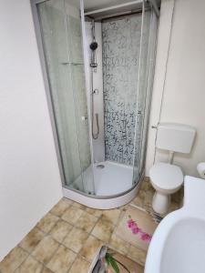 a bathroom with a shower and a toilet at Ferienwohnung Marquard's in Immendingen