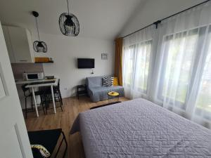 1 dormitorio con cama, sofá y escritorio en Apartman VIN 5, en Divčibare