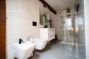 a bathroom with a toilet and a shower at Apartament Loftowy Ordona 5 in Szczecinek