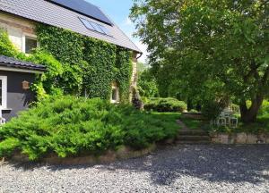 Zahrada ubytování Dom Cukiernika