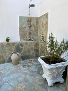 ベニテスにあるOliva - 1 bedroom apartmentのギャラリーの写真