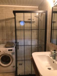 ein Badezimmer mit Dusche und Waschmaschine in der Unterkunft OZZY HOMES MÜSTAKİL BAHÇELİ MÜTHİŞ VİLLA in Antalya + 47 Fotos
