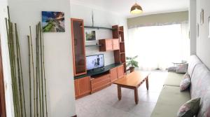 een woonkamer met een bank en een tv bij Apto Peteiro in Ponteareas