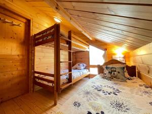een slaapkamer met 2 stapelbedden in een hut bij Chalet Pierra, pied des pistes - Wifi gratuit - 2 parkings in Le Dévoluy