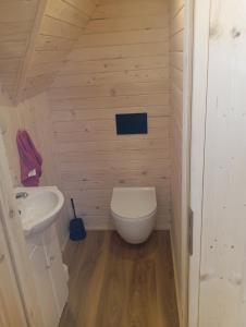 a small bathroom with a toilet and a sink at Domek na Bachledowce 2 in Leszczyny