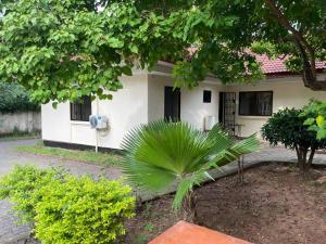 Biały dom z palmą przed nim w obiekcie Beautiful 4 bedroom house in Masaki with parking w mieście Dar es Salaam