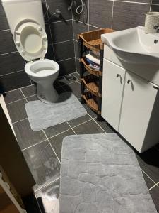 a bathroom with a toilet and a sink at Ada Bojana kucica na vodi in Ulcinj